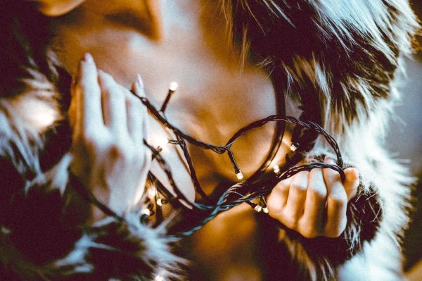 《狐狸鸟的故事：当狡黠与自由在寓言中相遇》