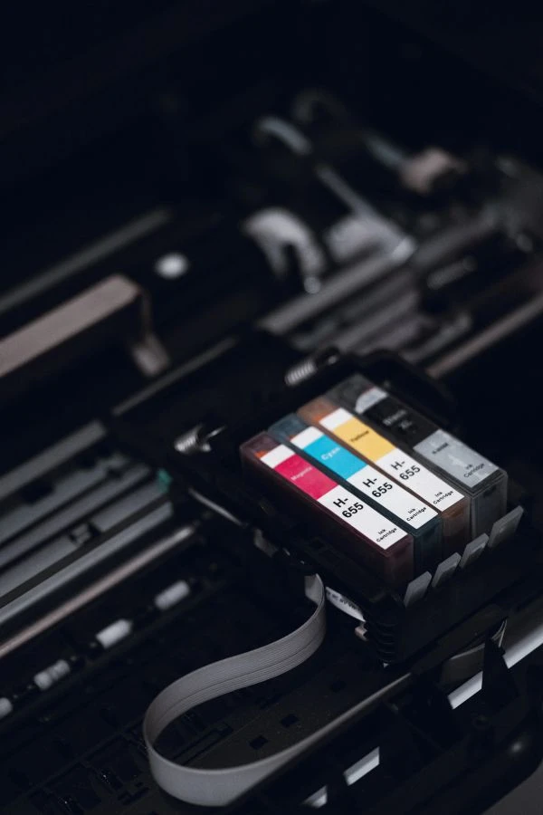 蒙古马：草原之魂与不屈精神的永恒赞歌