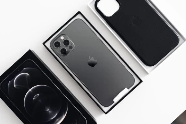 《小乌龟的故事：一场关于坚持与成长的灵魂对话》