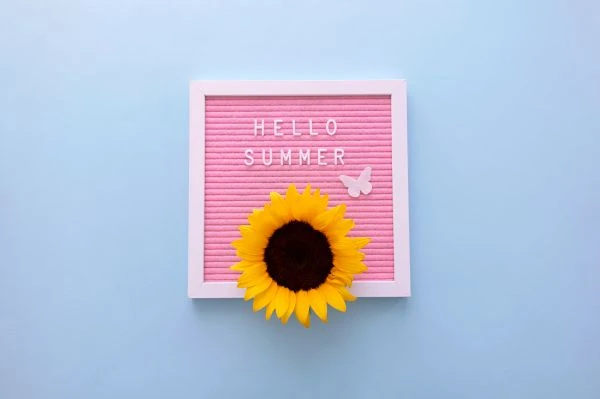 《忠心的故事：那些让我们热泪盈眶的忠诚瞬间》