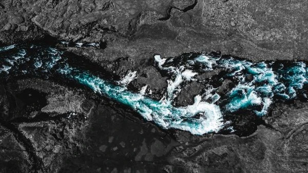 40字寓言读后感:智慧浓缩