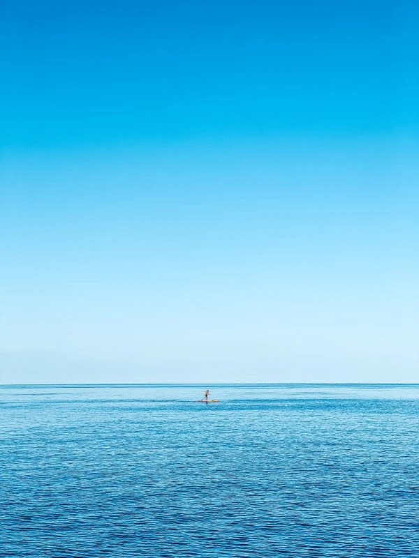 鳄鱼故事的读后感50字