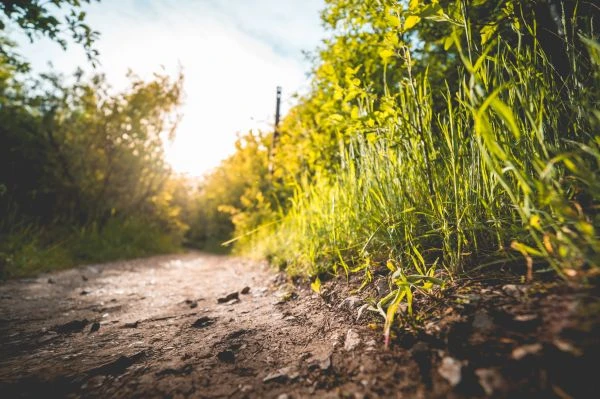 《故事的力量：当文字穿透心灵，我们如何被看不见的魔法改变》