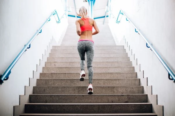 感恩的喜鹊:一个关于动物报恩的暖心寓言带给现代人的启示