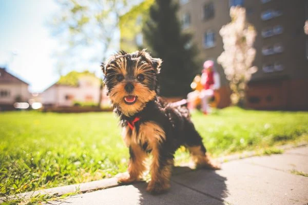 《讲述中国故事：一场跨越千年的文化觉醒与心灵对话》