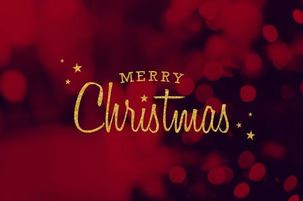 家有美宝：当爱与责任在育儿路上交织