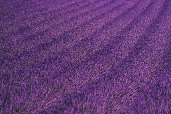 《乌鸦影子的寓言:当故事照进现实的灵魂启示》