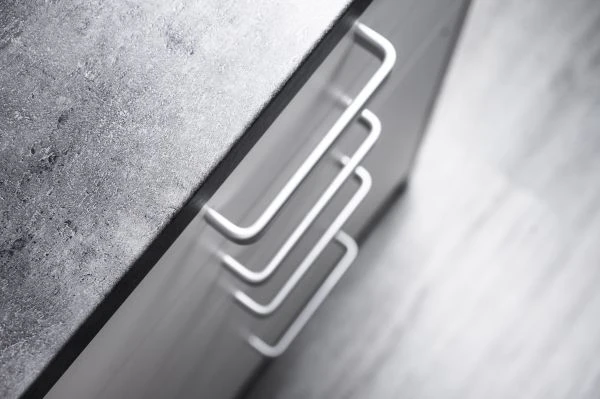 那些教会我们感恩的动物故事：比人类更纯粹的生命启示