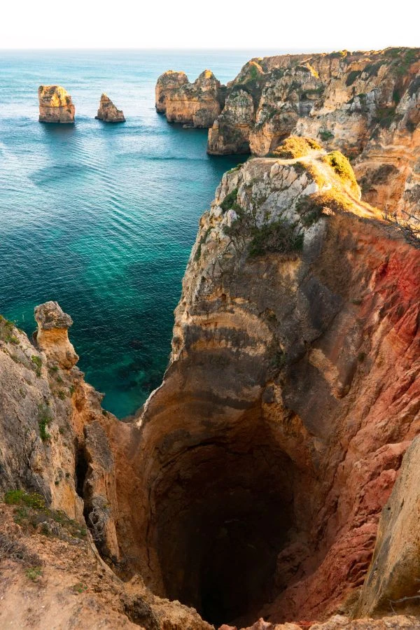 维也纳的森林故事:当自然与人文在音符中交织的灵魂之旅