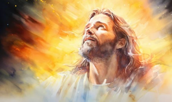 《故事翠鸟》读后感：当文学羽翼掠过心灵的湖面