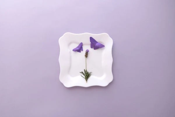 《圣经的故事与释梦：一场跨越千年的心灵对话》