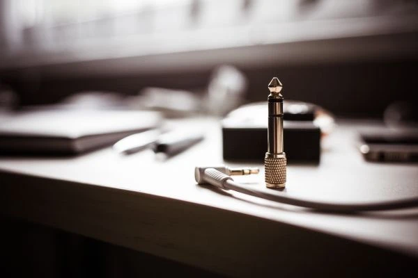 《老鼠爱大米：一首情歌背后的跨物种寓言与人性隐喻》