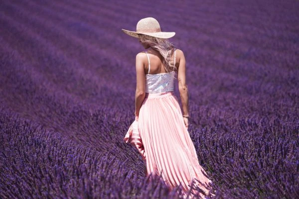 《金牛与牵牛花:一场跨越物种的生命对话》