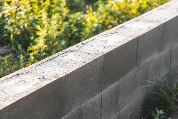 《语言故事:当文字成为人类文明的活化石》