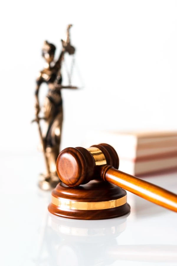 《不要悔：那些在遗憾中开出花来的生命启示》