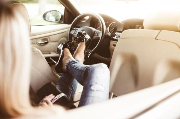 东郭先生寓言：一场跨越千年的道德拷问与现代启示