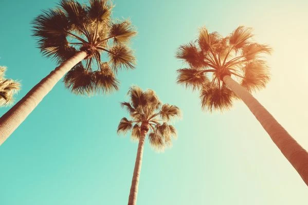 月圆人团圆：《中秋传奇故事》中的文化密码与情感共鸣