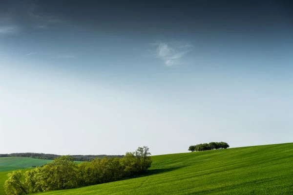 分享故事，感悟人生：那些触动心灵的读后感启示